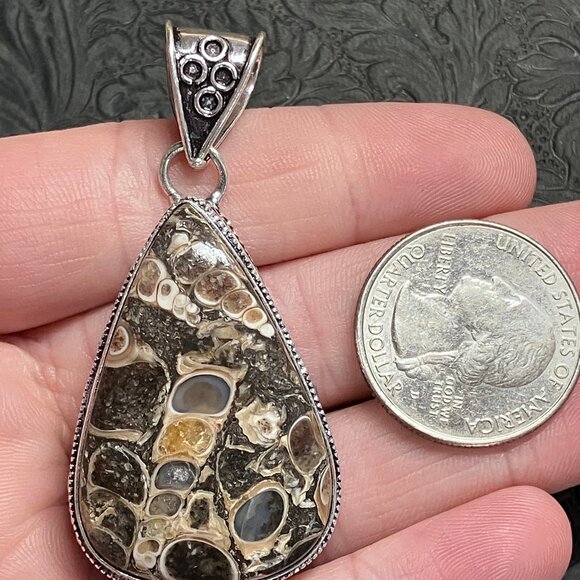 Elimia Turitella Agate Pendant - Picture 7 of 7